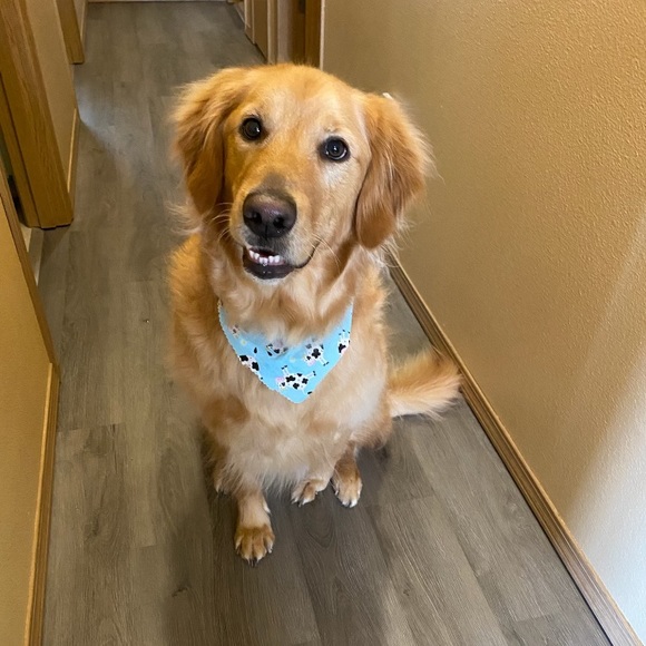 Meet your Posher! - Picture 5 of 6